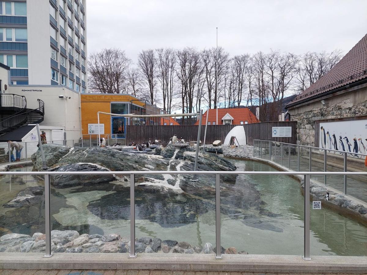 Bergen City Center Apartment エクステリア 写真